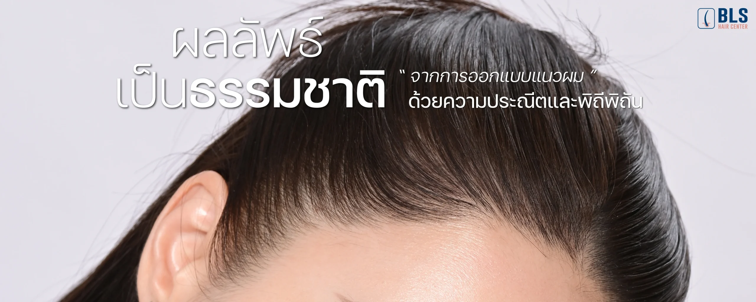 banner2-scaled.webp